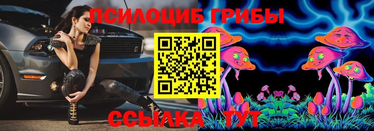 купить   Галлюциногенные грибы GOLDEN TEACHER  Вход с VPN  Псилоцибиновые грибы GOLDEN TEACHER  Мирный 