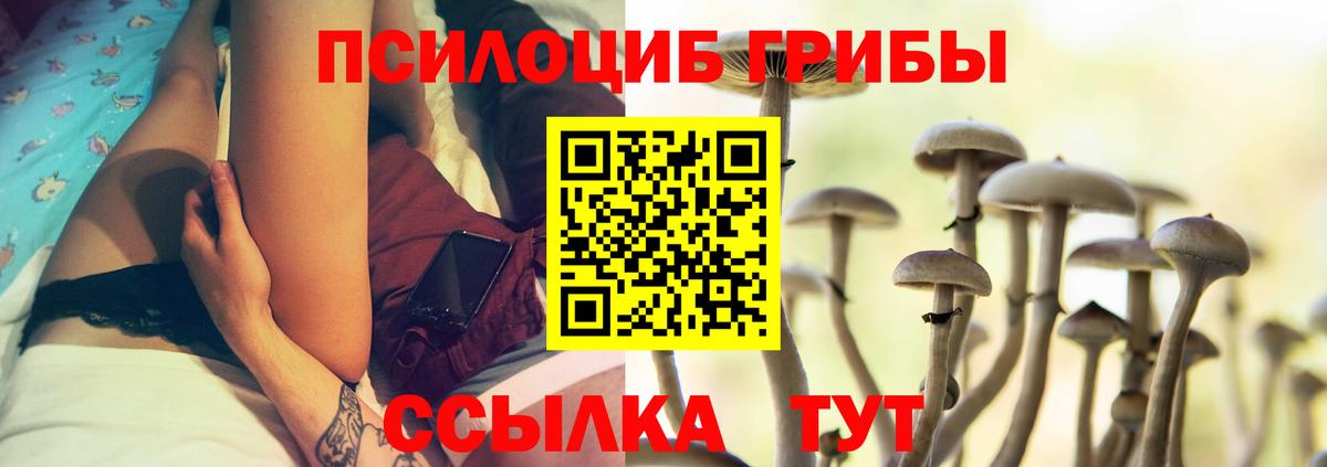Псилоцибиновые грибы Psilocybe Мирный
